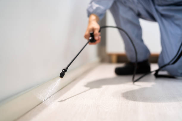 Bed Bug Pre-Treatment Preparation Assessment in Fennville