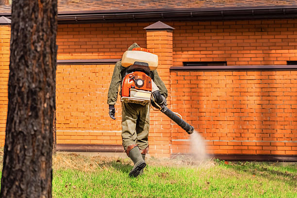 Bed Bug Clearance Verification and Documentation in Fennville